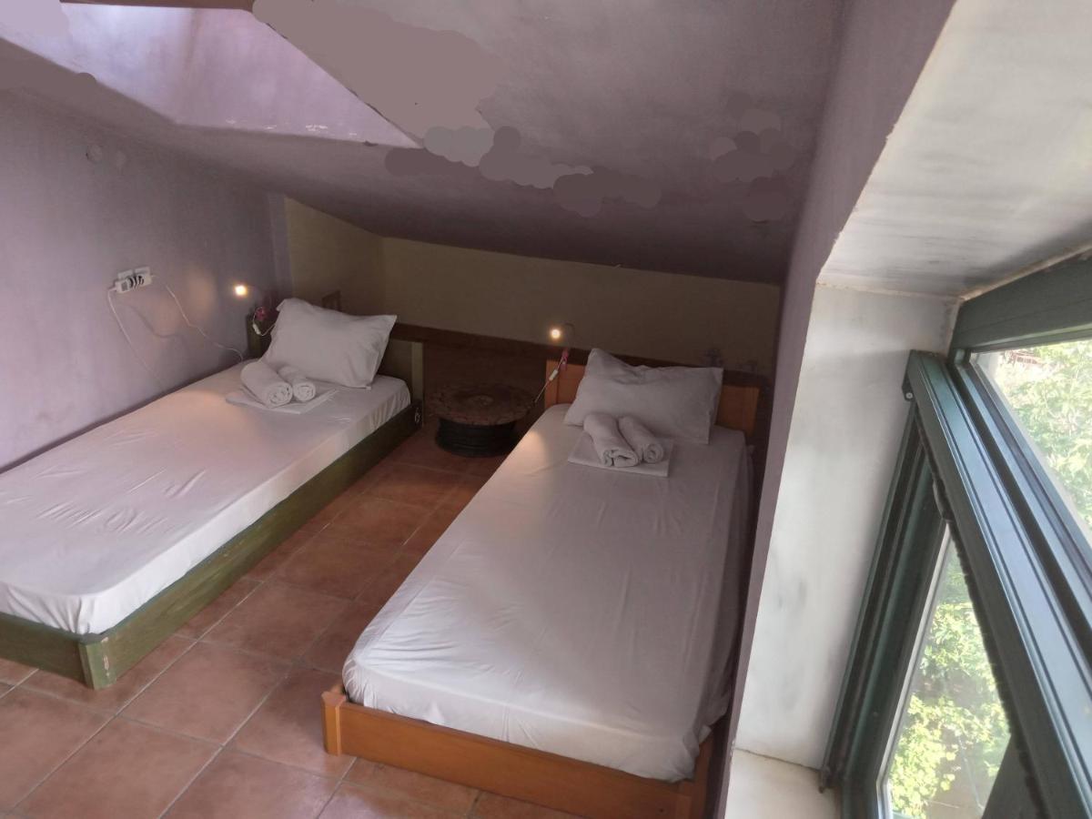 The White Rabbit Guesthouse Eco-Lodge "Cosy Apartment" ซากูเดีย ภายนอก รูปภาพ