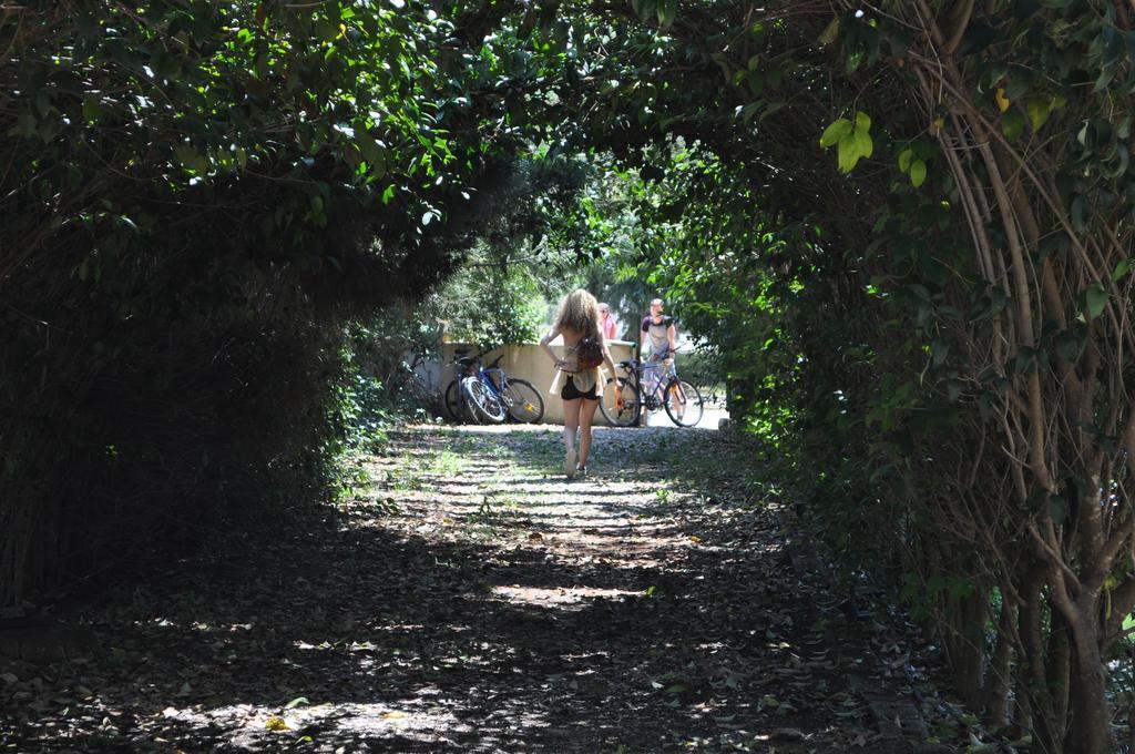 The White Rabbit Guesthouse Eco-Lodge "Cosy Apartment" ซากูเดีย ภายนอก รูปภาพ
